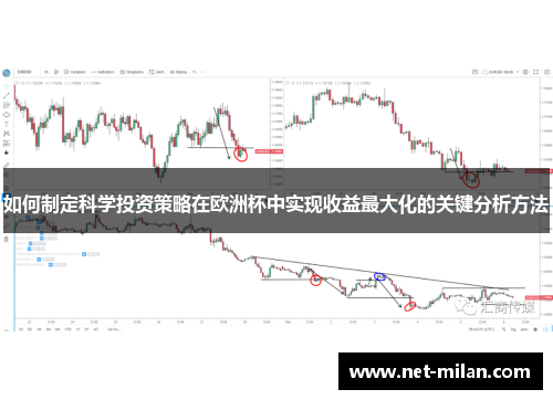 如何制定科学投资策略在欧洲杯中实现收益最大化的关键分析方法