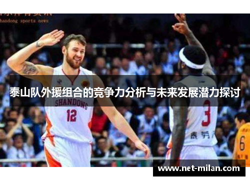 泰山队外援组合的竞争力分析与未来发展潜力探讨