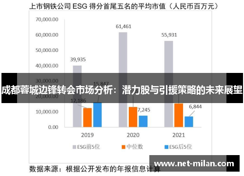 成都蓉城边锋转会市场分析：潜力股与引援策略的未来展望