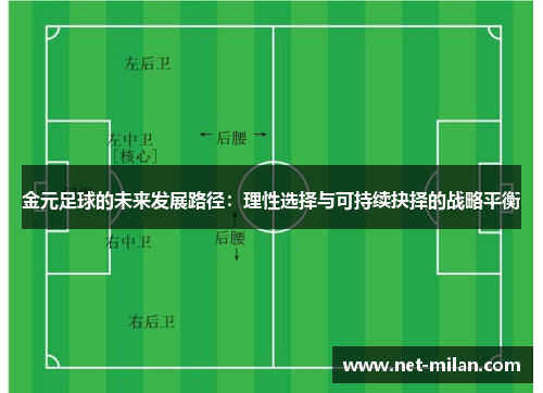 金元足球的未来发展路径：理性选择与可持续抉择的战略平衡
